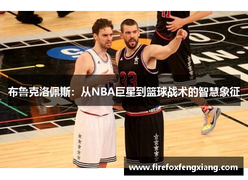 布鲁克洛佩斯：从NBA巨星到篮球战术的智慧象征