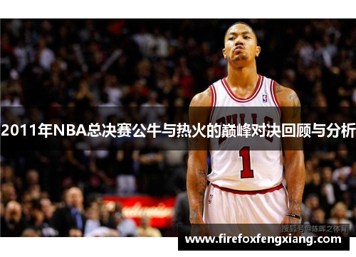 2011年NBA总决赛公牛与热火的巅峰对决回顾与分析